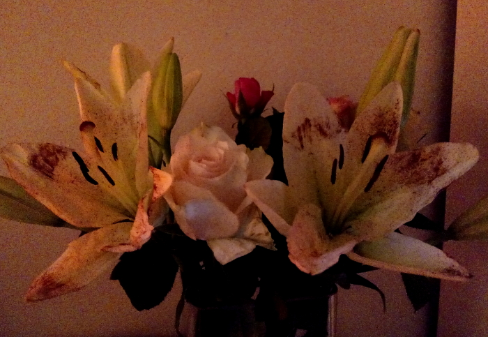 Lilies and roses