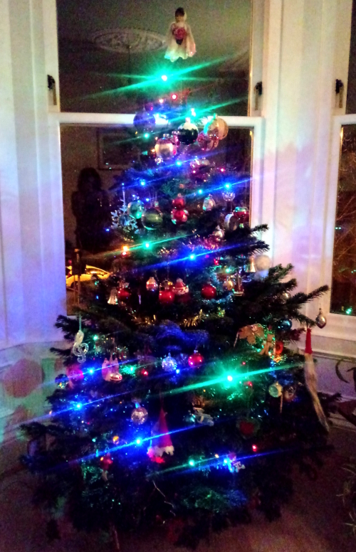 Christmas tree 2019