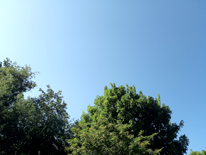 Blue summer sky